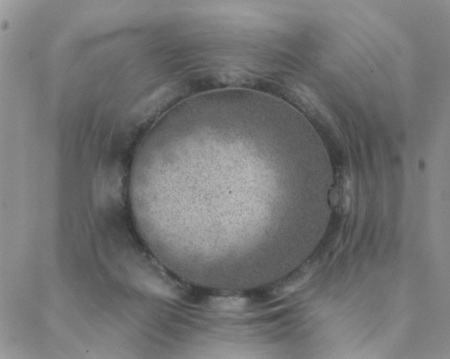 X0000089710266200706211350