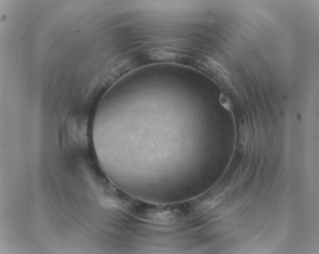 X0000089710267200706211350