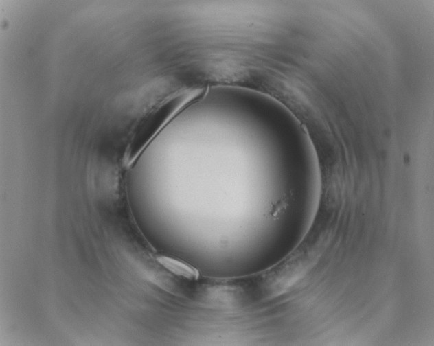 X0000089710268200706211351