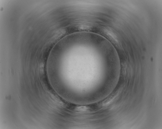 X0000089710269200706211351