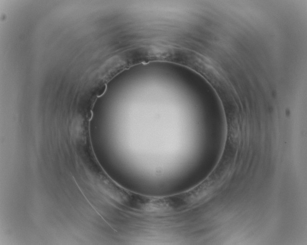 X0000089710270200706211351