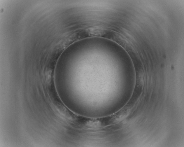 X0000089710271200706211351