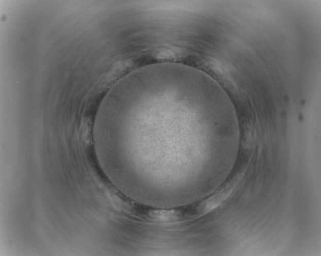 X0000089710273200706211351