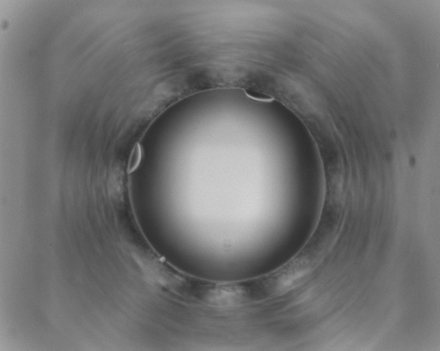 X0000089710274200706211351