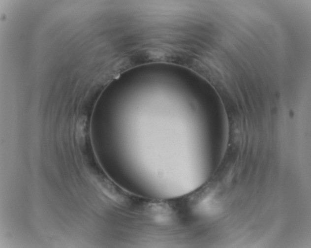 X0000089710275200706211351