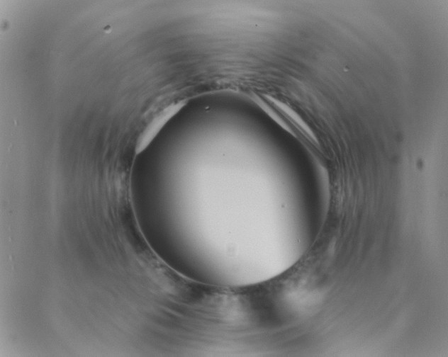 X0000089710276200706211351