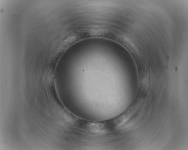 X0000089710277200706211351