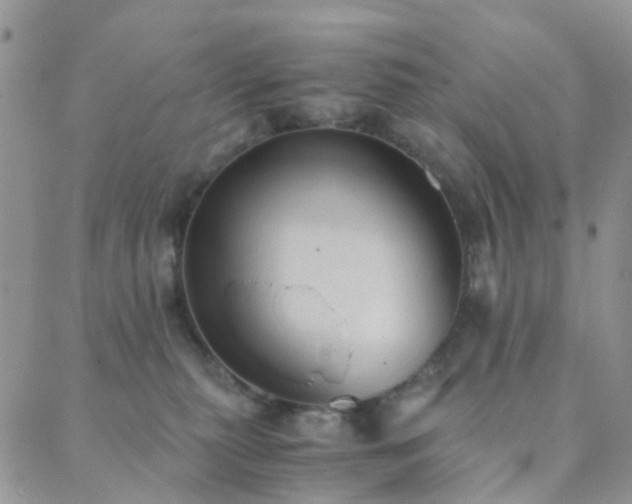 X0000089710279200706211351