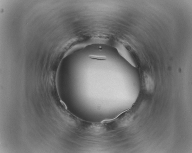 X0000089710280200706211351