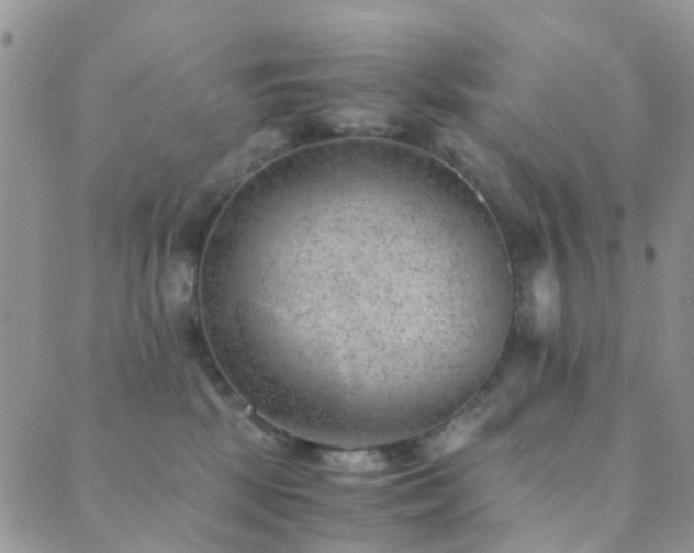 X0000089710281200706211351