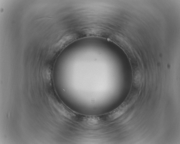 X0000089710282200706211351