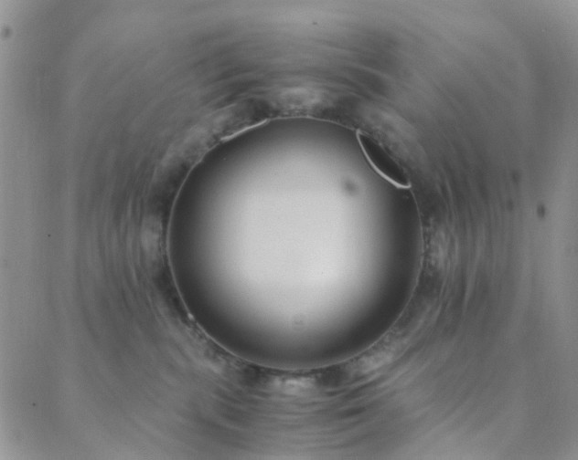 X0000089710283200706211351