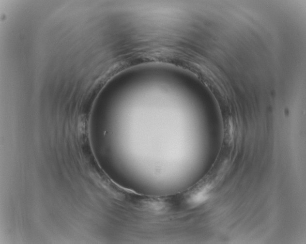 X0000089710284200706211351