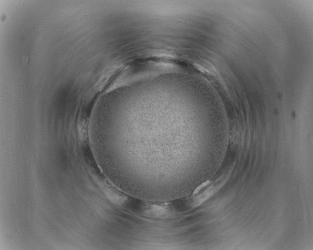 X0000089710285200706211351