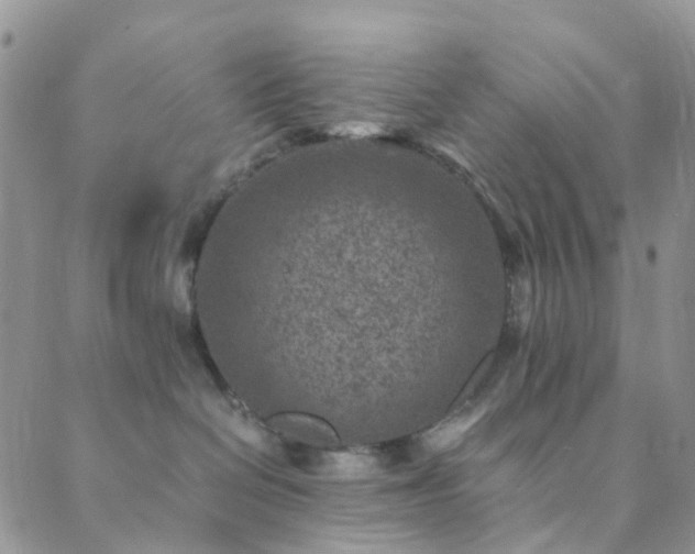 X0000089710286200706211351