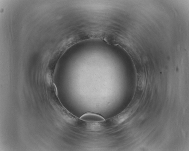 X0000089710287200706211351