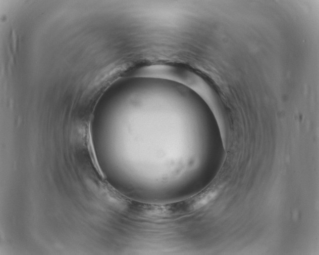 X0000089710288200706211351