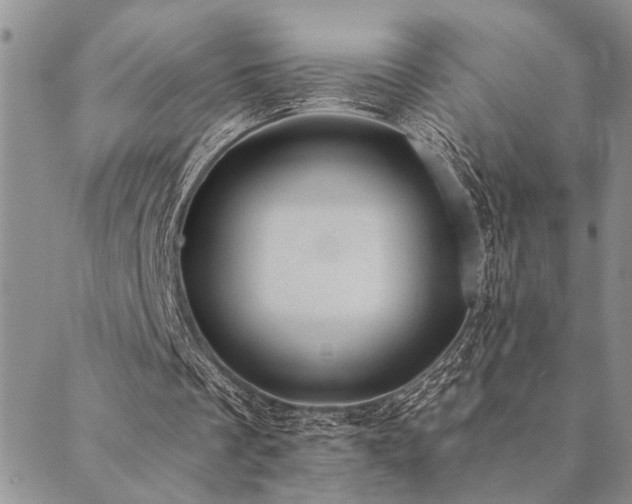 X0000089710289200706211350