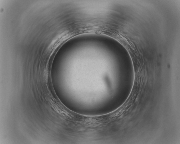 X0000089710290200706211350