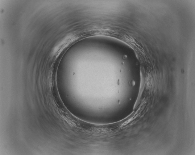 X0000089710291200706211350