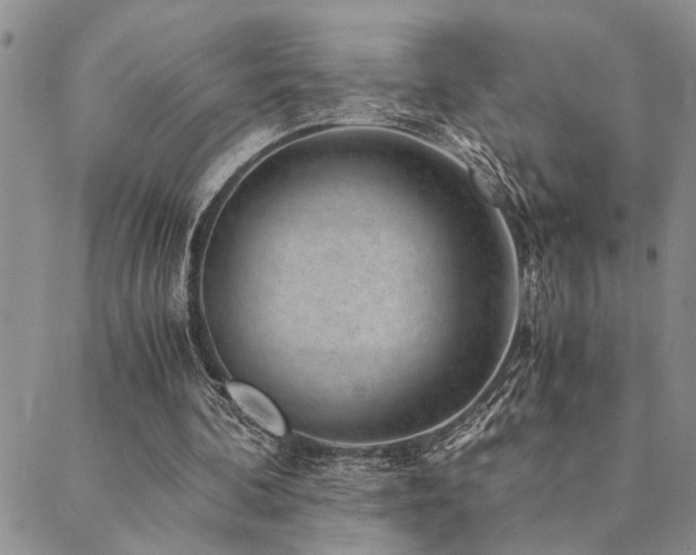 X0000089710292200706211350