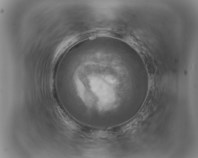 X0000089710293200706211350