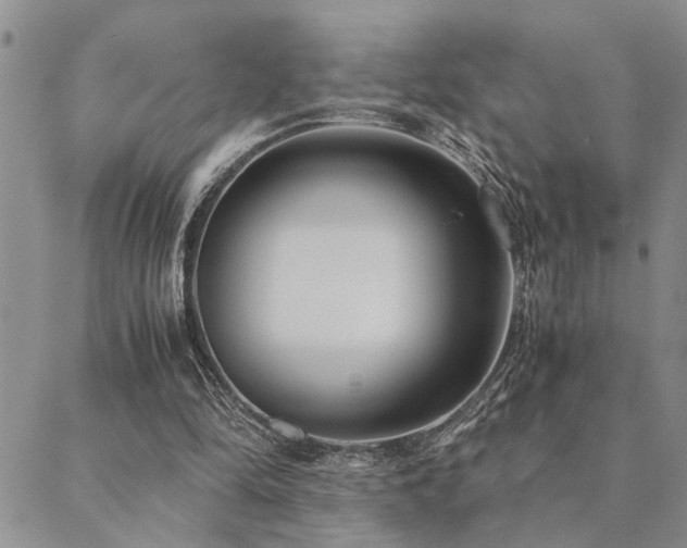 X0000089710294200706211350