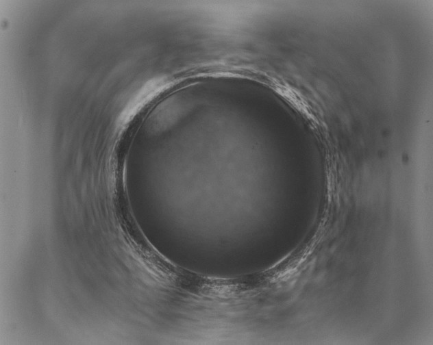 X0000089710295200706211350