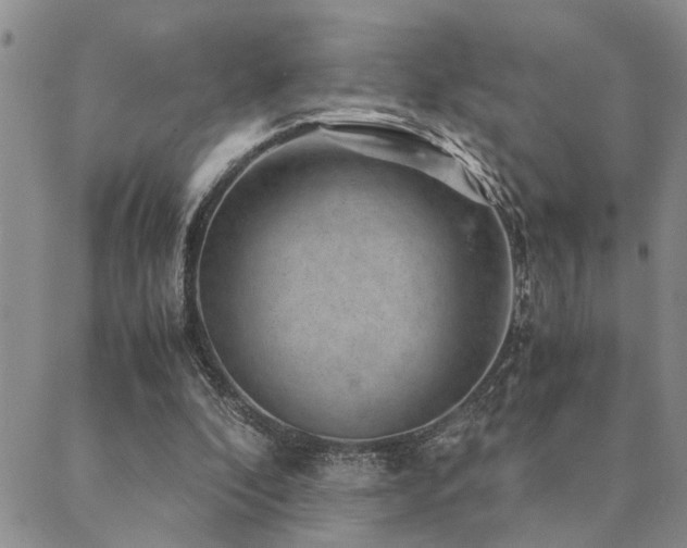 X0000089710296200706211350