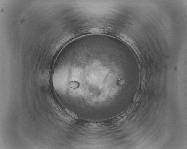 X0000089710297200706211350