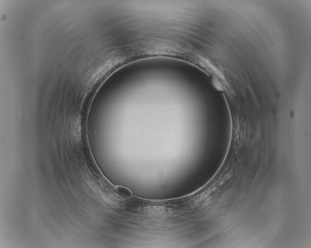 X0000089710298200706211350