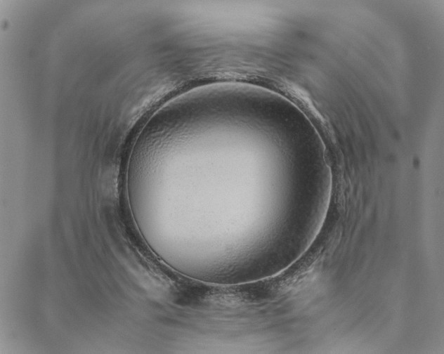 X0000089710299200706211350