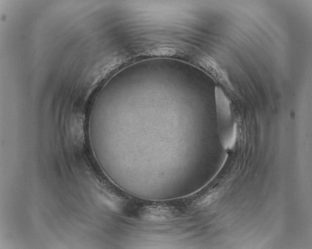 X0000089710300200706211350