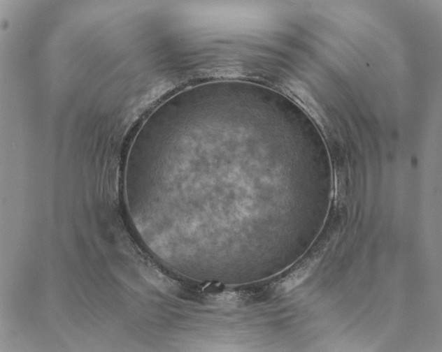 X0000089710301200706211350