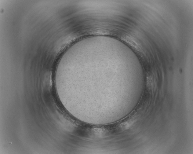 X0000089710302200706211350