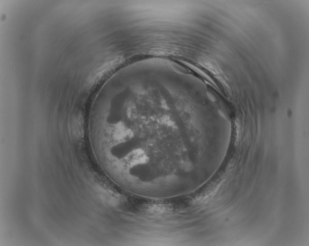 X0000089710303200706211350