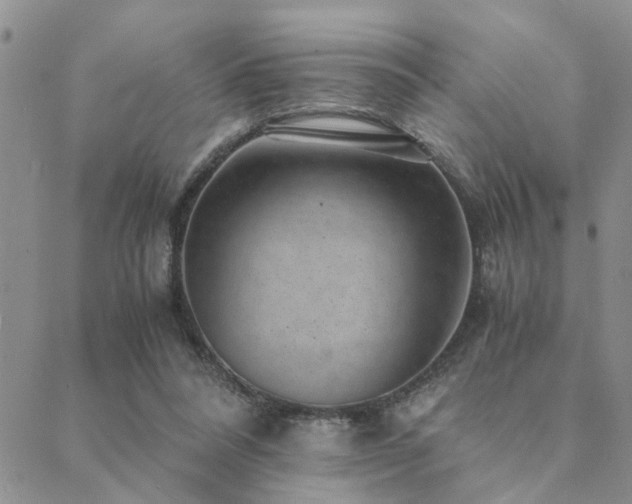 X0000089710304200706211350