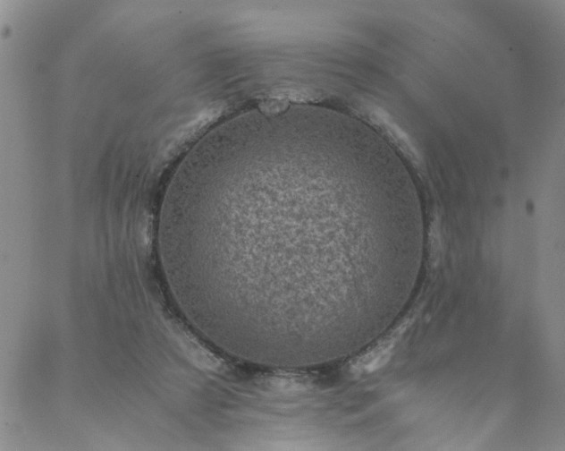 X0000089710305200706211350