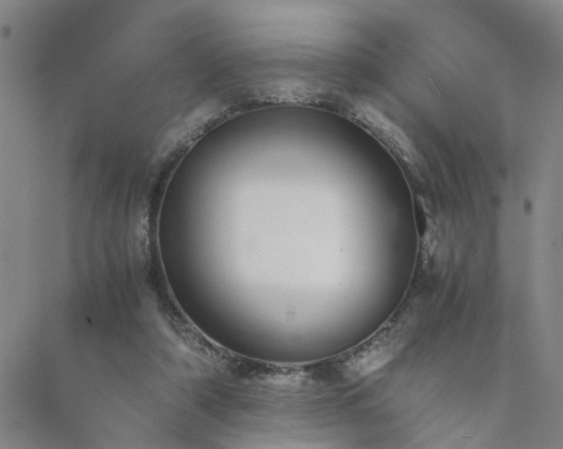 X0000089710306200706211350