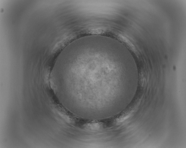 X0000089710307200706211350