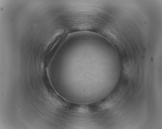 X0000089710308200706211350