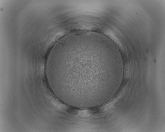 X0000089710309200706211350