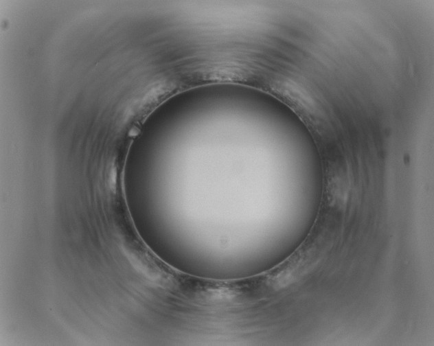 X0000089710310200706211350