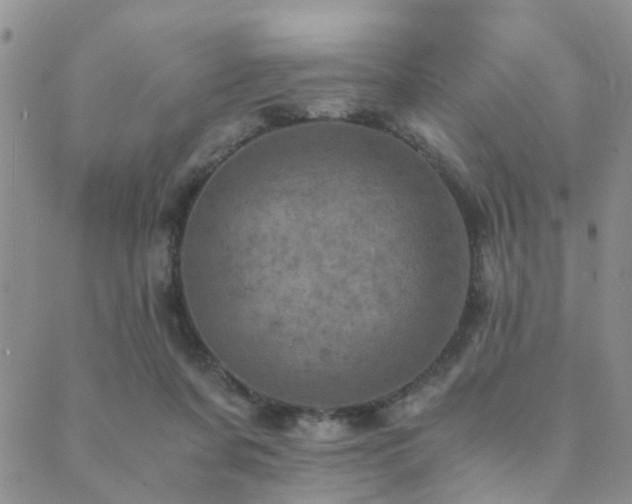 X0000089710311200706211350