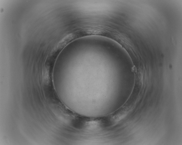 X0000089710312200706211350