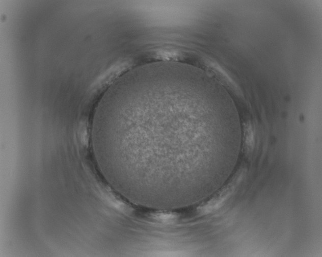 X0000089710313200706211350