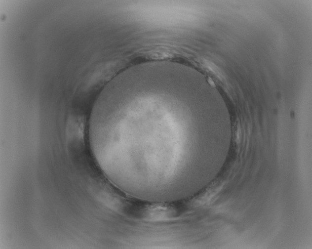 X0000089710315200706211350