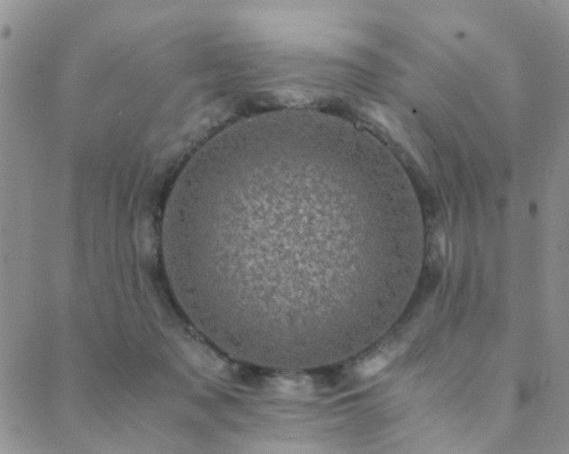 X0000089710317200706211350