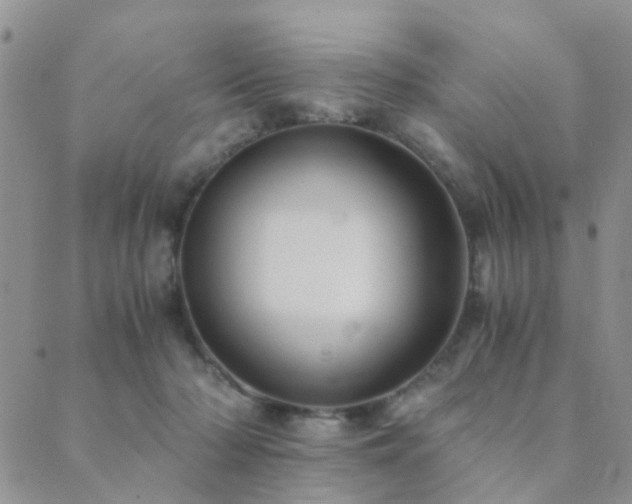 X0000089710318200706211350