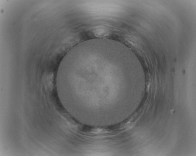 X0000089710319200706211350